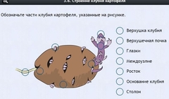 Интерактивные курсы. Биология 6 класс. Расширенный - fgospostavki.ru - Югорск