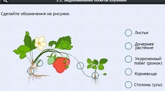 Интерактивные курсы. Биология 7 класс. Расширенный. - fgospostavki.ru - Югорск