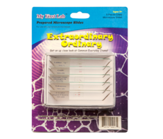 Набор микропрепаратов для микроскопа №3 «Необычное в обычном» - fgospostavki.ru - Югорск