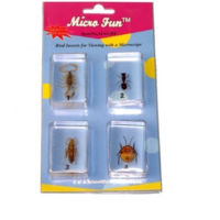 Набор микропрепаратов для стереомикроскопа №14 «Насекомые» - fgospostavki.ru - Югорск