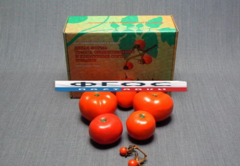 Набор муляжей "Дикая форма и культурные сорта томатов" - fgospostavki.ru - Югорск
