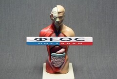 Модель Торс человека 42 сантиметра - fgospostavki.ru - Югорск