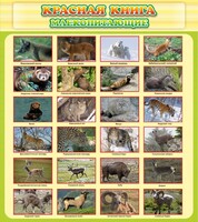 Стенд "Красная книга - млекопитающие" - fgospostavki.ru - Югорск