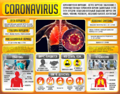 Плакат "Коронавирус" (вариант 2) - fgospostavki.ru - Югорск