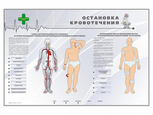 Электрифицированный стенд "Остановка кровотечения" - fgospostavki.ru - Югорск