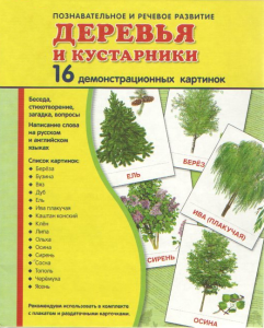 Демонстрационные карточки "Деревья и кустарники" - fgospostavki.ru - Югорск