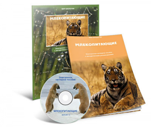 Электронное наглядное пособие «Млекопитающие» - fgospostavki.ru - Югорск