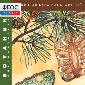Ботаника. Микрофотографии. (Цифровая база изображений) - fgospostavki.ru - Югорск
