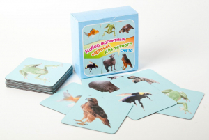 Набор магнитных карточек "Устный счет" (фон голубой) - fgospostavki.ru - Югорск