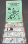 Коллекция "Многообразие раковин моллюсков" - fgospostavki.ru - Югорск