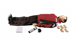 "Максим II-01" тренажер сердечно-легочной и мозговой реанимации - fgospostavki.ru - Югорск