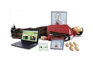 "Максим III-01" тренажер сердечно-легочной и мозговой реанимации - fgospostavki.ru - Югорск