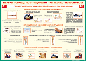 Таблица "Общий порядок оказания первой помощи пострадавшим" (100х140 сантиметров, винил) - fgospostavki.ru - Югорск