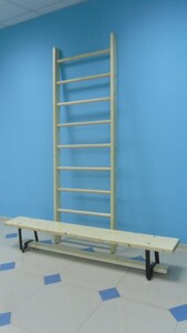 Стенка гимнастическая шведская премиум (1000х3200 мм) - fgospostavki.ru - Югорск