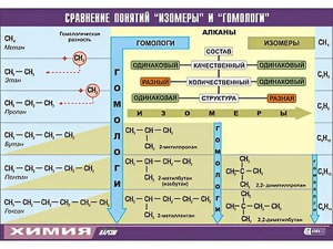 Таблица демонстрационная "Сравнение понятий изомер и гомолог" (винил 100x140) - fgospostavki.ru - Югорск
