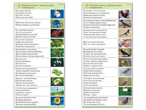 Комплект карточек (10) "Обучающий калейдоскоп. Природа" - fgospostavki.ru - Югорск