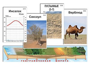 Модель-аппликация "Природные зоны" - fgospostavki.ru - Югорск