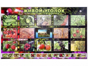 Комплект оборудования "Живой уголок" (растения) с тифлопереводом и сурдокомментариями - fgospostavki.ru - Югорск