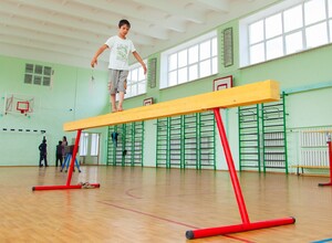 Бревно гимнастическое напольное постоянной высоты (700 мм) (5 м) - fgospostavki.ru - Югорск