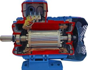 Учебная модель «Электродвигатель асинхронный в разрезе» - fgospostavki.ru - Югорск