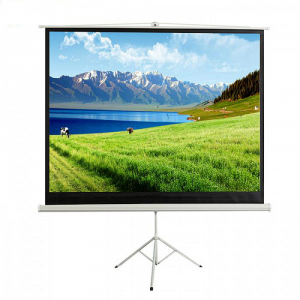 Экран на штативе DSKD-4304 - fgospostavki.ru - Югорск