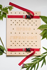 Пресс гербарный (сетка) - fgospostavki.ru - Югорск