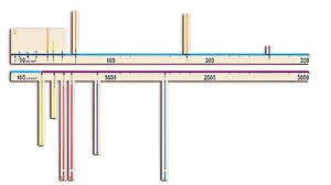 Модель-аппликация "Расстояния во Вселенной" - fgospostavki.ru - Югорск