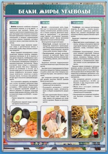 Стенд "Белки. Жиры. Углеводы" - fgospostavki.ru - Югорск