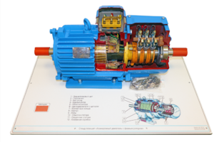 Стенд-планшет «Асинхронный двигатель с фазным ротором» - fgospostavki.ru - Югорск