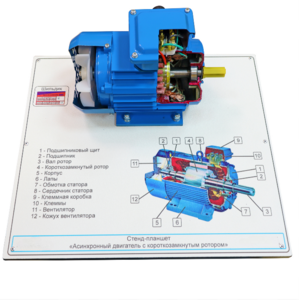Стенд-планшет «Асинхронный двигатель с короткозамкнутым ротором» - fgospostavki.ru - Югорск