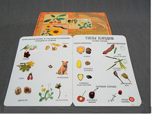 Коллекция "Семена и плоды" - fgospostavki.ru - Югорск
