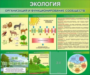 Стенд "Экология. Организация и функционирование сообществ" - fgospostavki.ru - Югорск