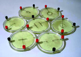 Демонстрационный комплект «Силовые линии электрического поля разных систем зарядов» - fgospostavki.ru - Югорск