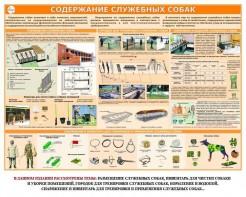 Комплект плакатов "Кинология" - fgospostavki.ru - Югорск