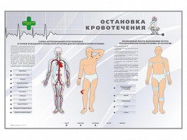 Электрифицированный стенд "Остановка кровотечения" - fgospostavki.ru - Югорск