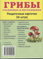Раздаточные карточки "Грибы съедобные и не съедобные" - fgospostavki.ru - Югорск