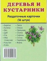 Раздаточные карточки "Деревья и кустарники" - fgospostavki.ru - Югорск