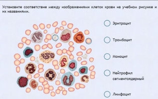 Интерактивные курсы. Биология 11 класс. Расширенный. - fgospostavki.ru - Югорск