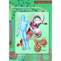 Интерактивные плакаты. Биология человека. Программно-методический комплекс - fgospostavki.ru - Югорск