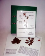 Гербарий к курсу основ общей биологии (20 листов, ламинированный) - fgospostavki.ru - Югорск