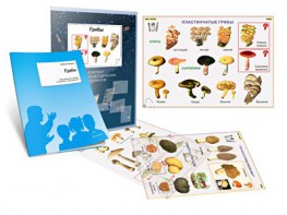 Комплект кодотранспарантов "Грибы" - fgospostavki.ru - Югорск