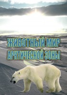 DVD "Животный мир Арктической зоны" - fgospostavki.ru - Югорск