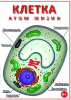 DVD "Клетка - "атом жизни" - fgospostavki.ru - Югорск