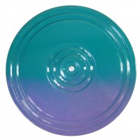 Диск здоровья (многоцветный) - fgospostavki.ru - Югорск