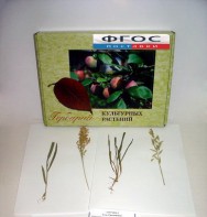 Гербарий "Культурные растения" (28 видов) - fgospostavki.ru - Югорск