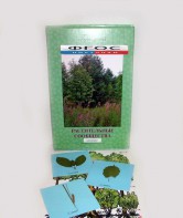 Гербарий "Растительные сообщества" (9 видов х 5 планшетов) - fgospostavki.ru - Югорск