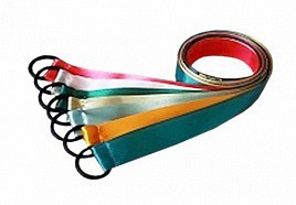 Лента гимнастическая на кольце (0,25 метра) - fgospostavki.ru - Югорск