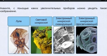 Интерактивные курсы. Биология 5 класс. Расширенный - fgospostavki.ru - Югорск
