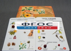 Коллекция "Семена и плоды" - fgospostavki.ru - Югорск