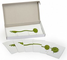 Модель-аппликация "Роль ядра в регуляции развития организма" (набор из 8 карт) - fgospostavki.ru - Югорск